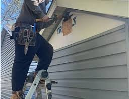 Affordable Siding Repair and Maintenance Services in Tropical Park, FL